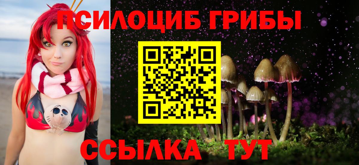 Псилоцибиновые грибы ЛСД Верхняя Салда