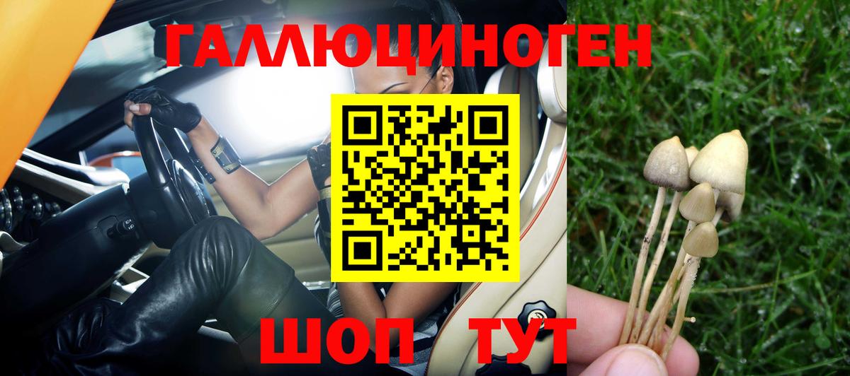 Верхняя Салда  продажа наркотиков  Вход с VPN  Псилоцибиновые грибы GOLDEN TEACHER  Псилоцибиновые грибы MAGIC MUSHROOMS 